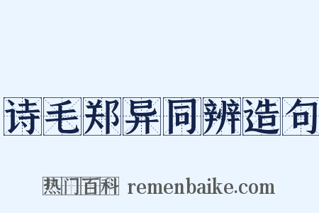 诗毛郑异同辨造句是什么意思的图片